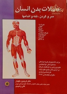 عضلات بدن انسان سروگردن تنه و اندامها